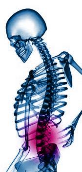 Bakman Osteopath  William Slann 706979 Image 0
