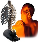 Body Balance Osteopaths 705832 Image 7