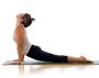 London Osteopathy and Pilates 709539 Image 6