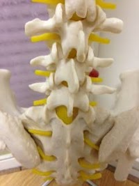 Spritely Osteopathy 708492 Image 2